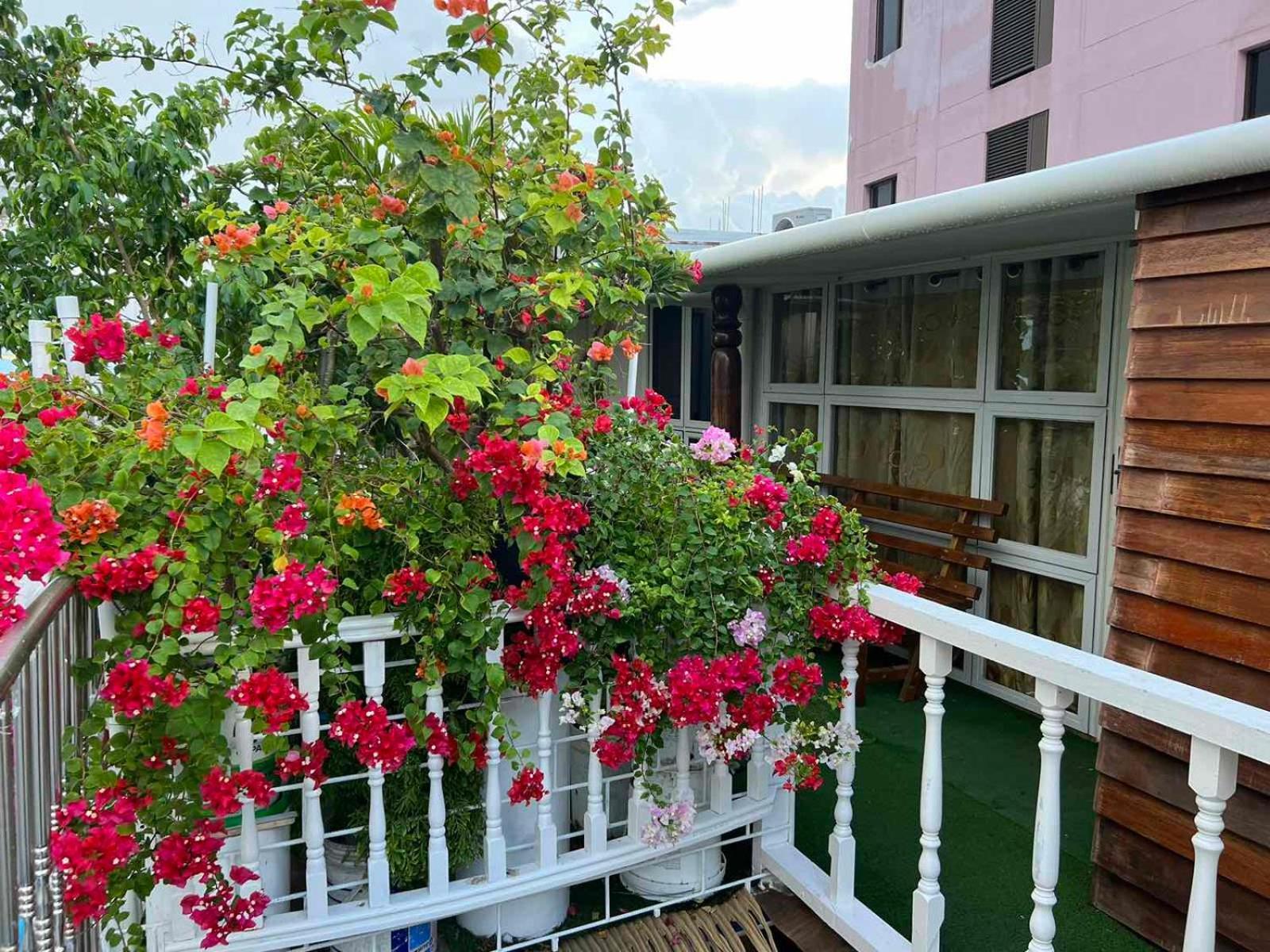 Rooftop Inn Male Luaran gambar